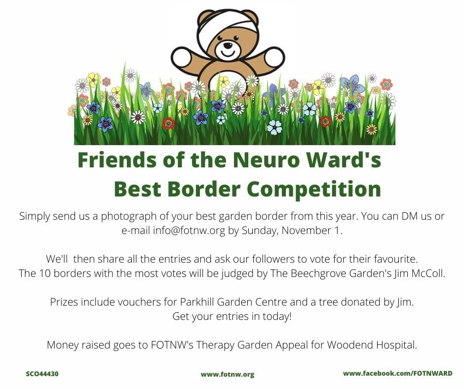 Best Garden Border Competition